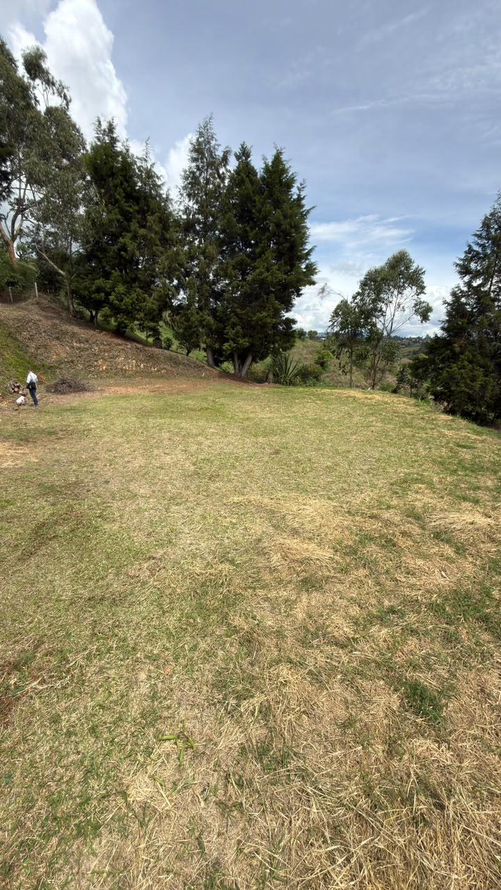 LOTE EN VENTA – PARCELACIÓN PIEDRAS BLANCAS