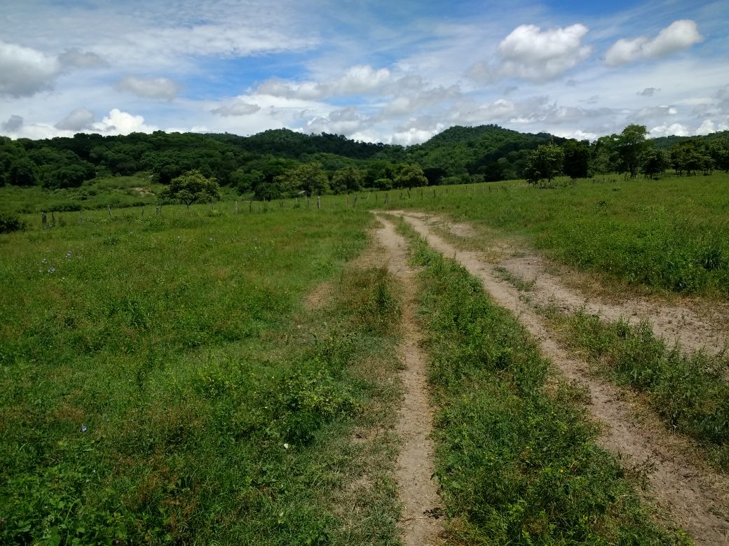 Finca en venta en el Tolima