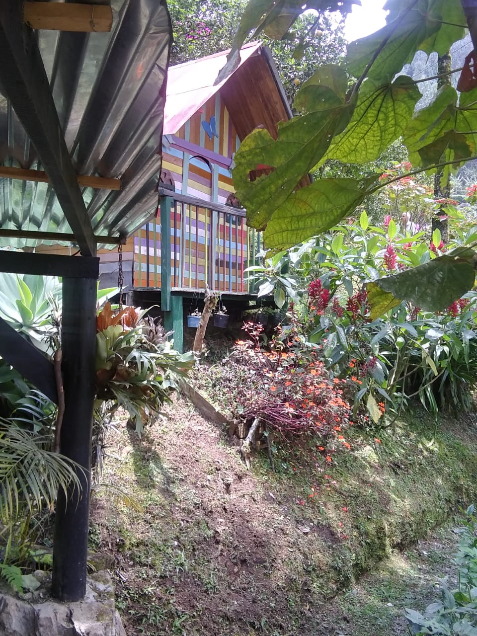 Finca en Venta Construccion Tradicional Caldas Antioquia