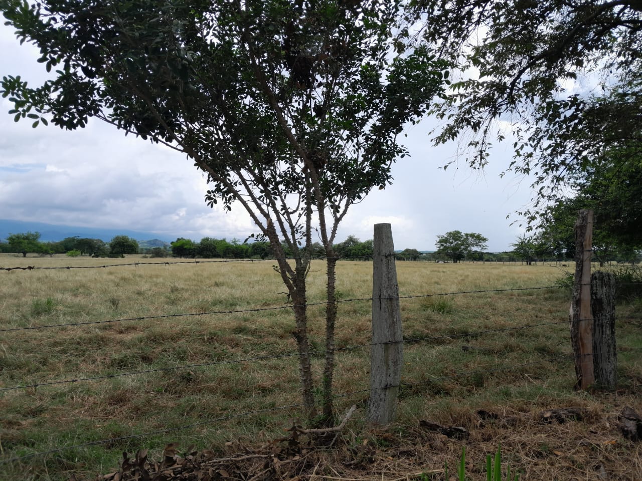 Finca en venta en Alvarado Tolima