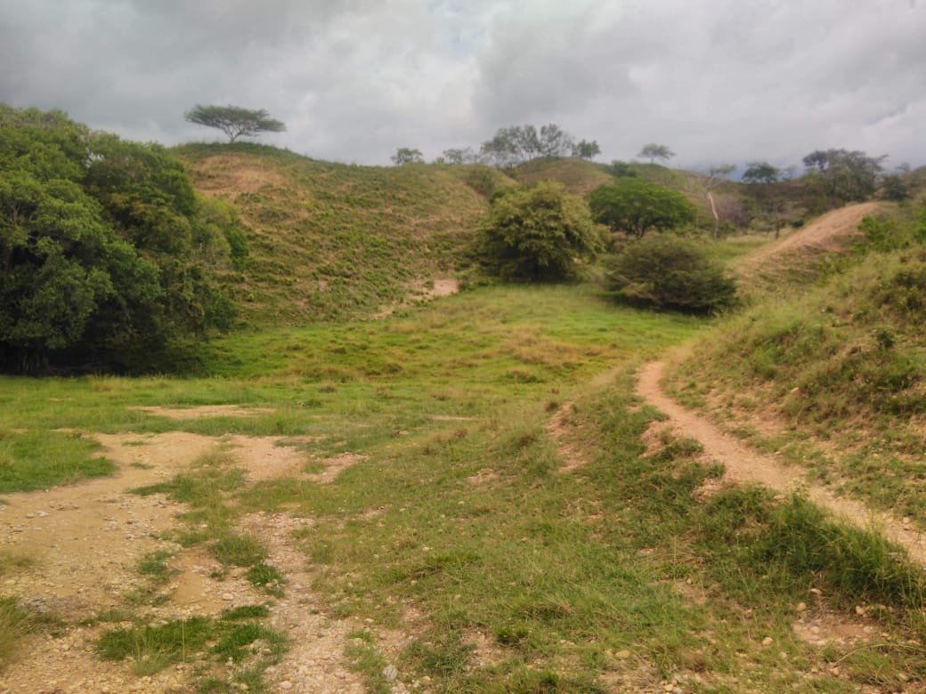 Finca en venta en Beltran  Cundinamarca