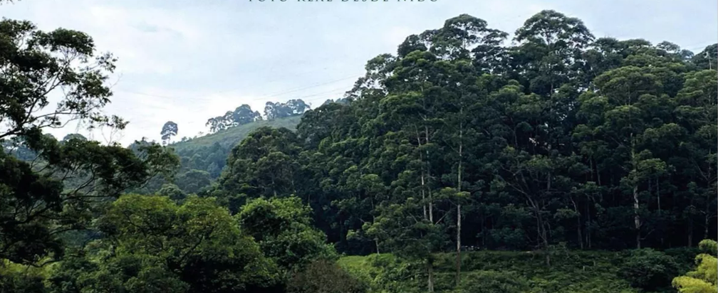 VENDO  DERECHOS  APARTAMENTO , GRAN PROYECTO PAN DE AZUCAR SABANETA