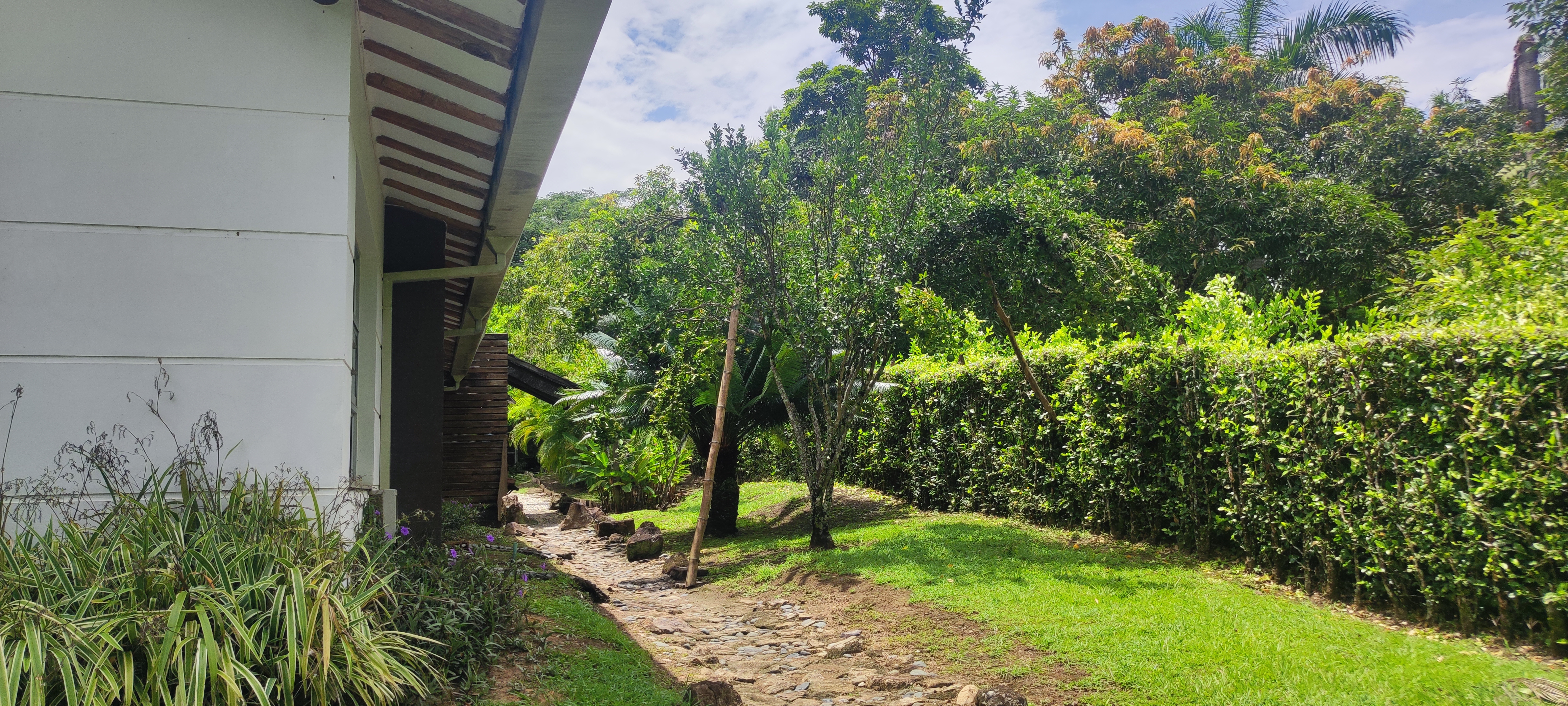 Venta de finca en San Jeronimo El Hato