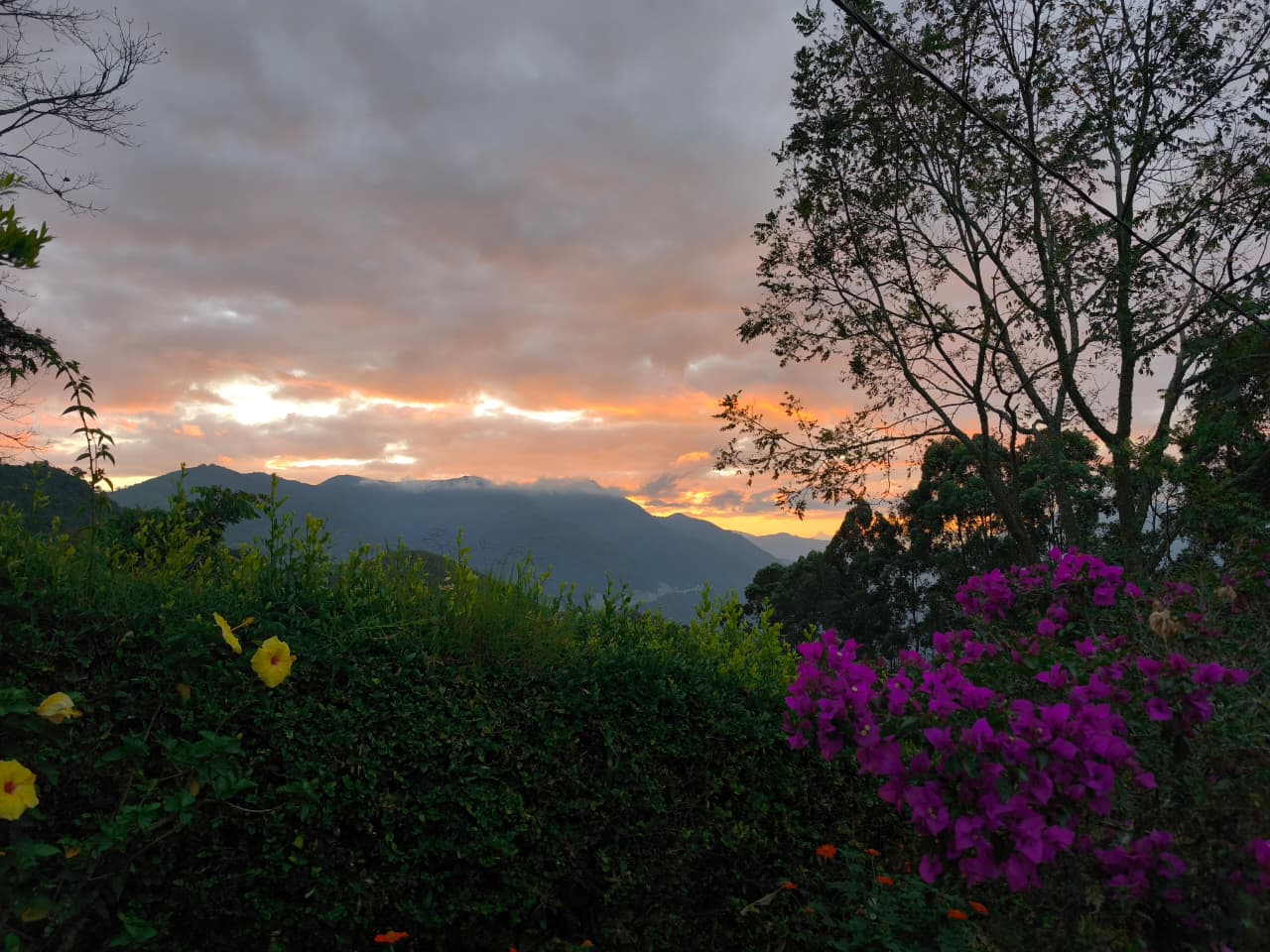 Finca en venta Titiribí Antioquia sector jardín