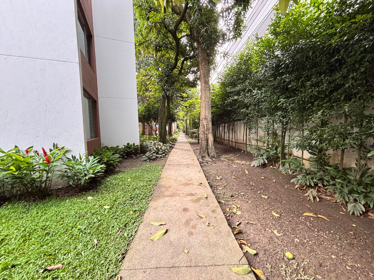 vendo apartamento en Medellín poblado, patio bonito