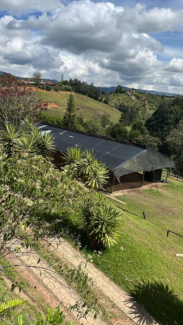 Venta de Finca en Rionegro Antioquia cerca al Aeropuerto