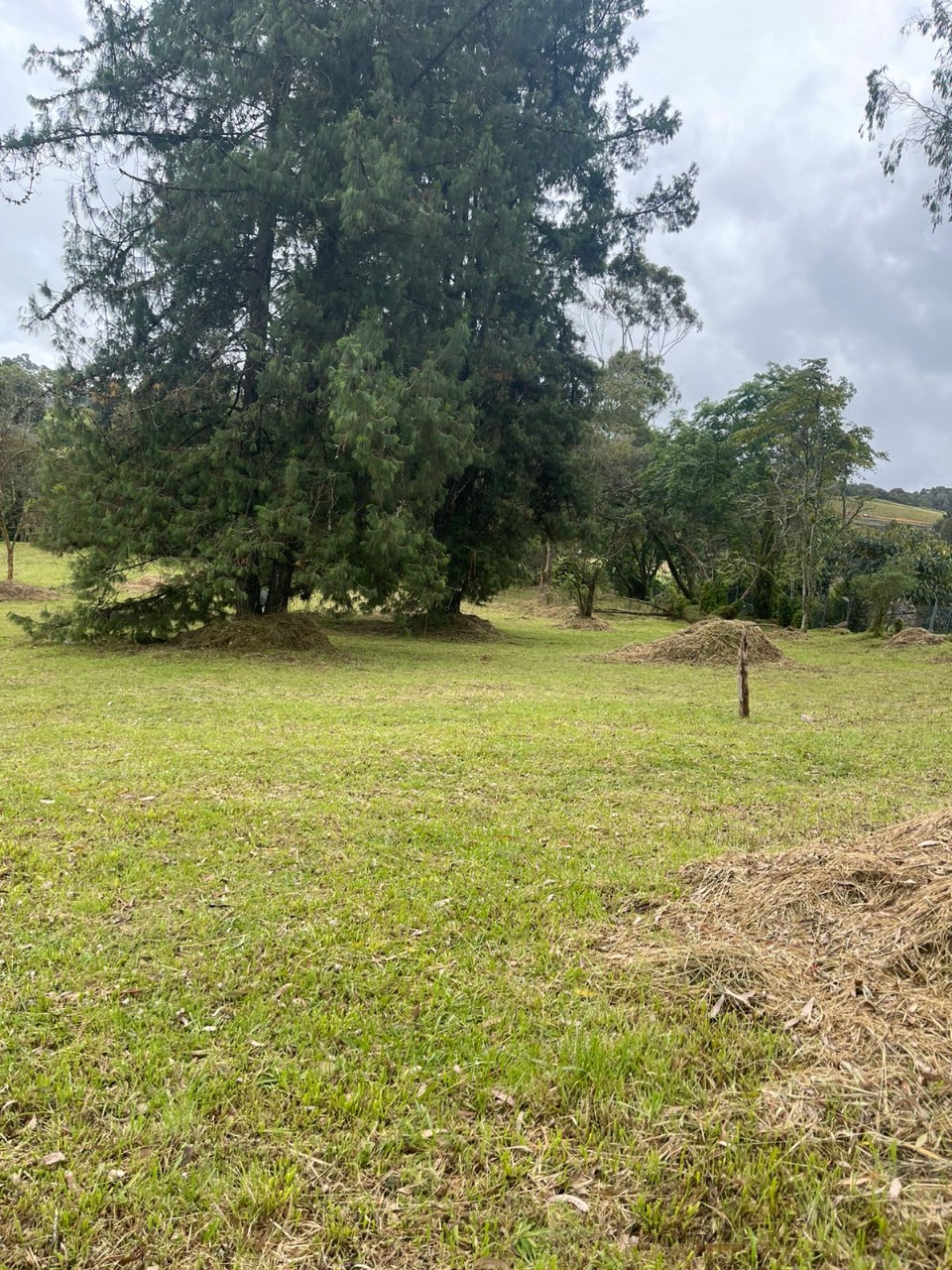 Lote en venta avenida las palmas K2 Envigado Medellín Antioquia