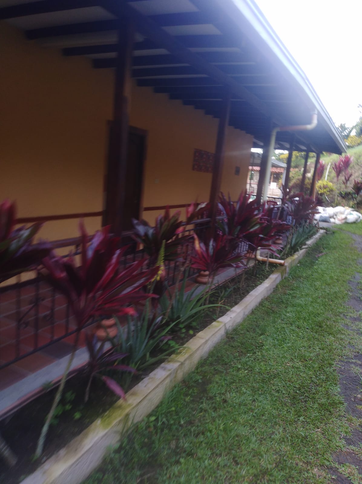 Casa Finca Para La Venta En Sonson.