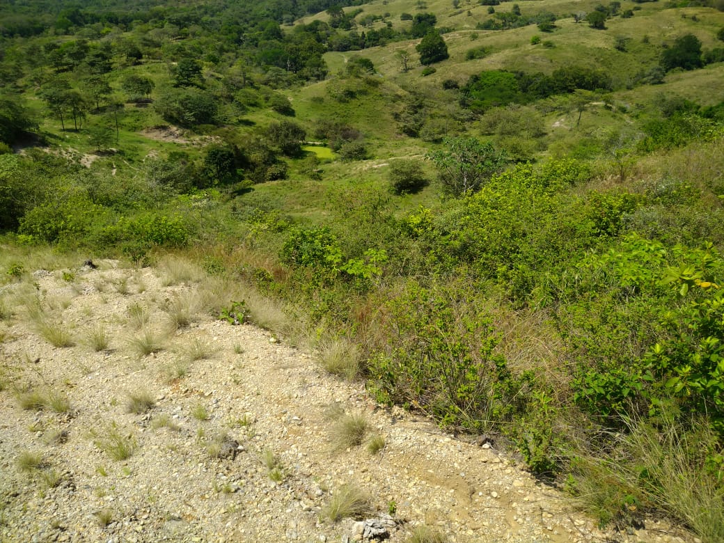 Finca en venta en Beltran  Cundinamarca