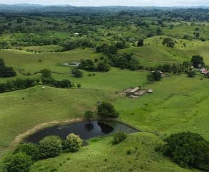 Finca en venta en Córdoba cerca de Montería