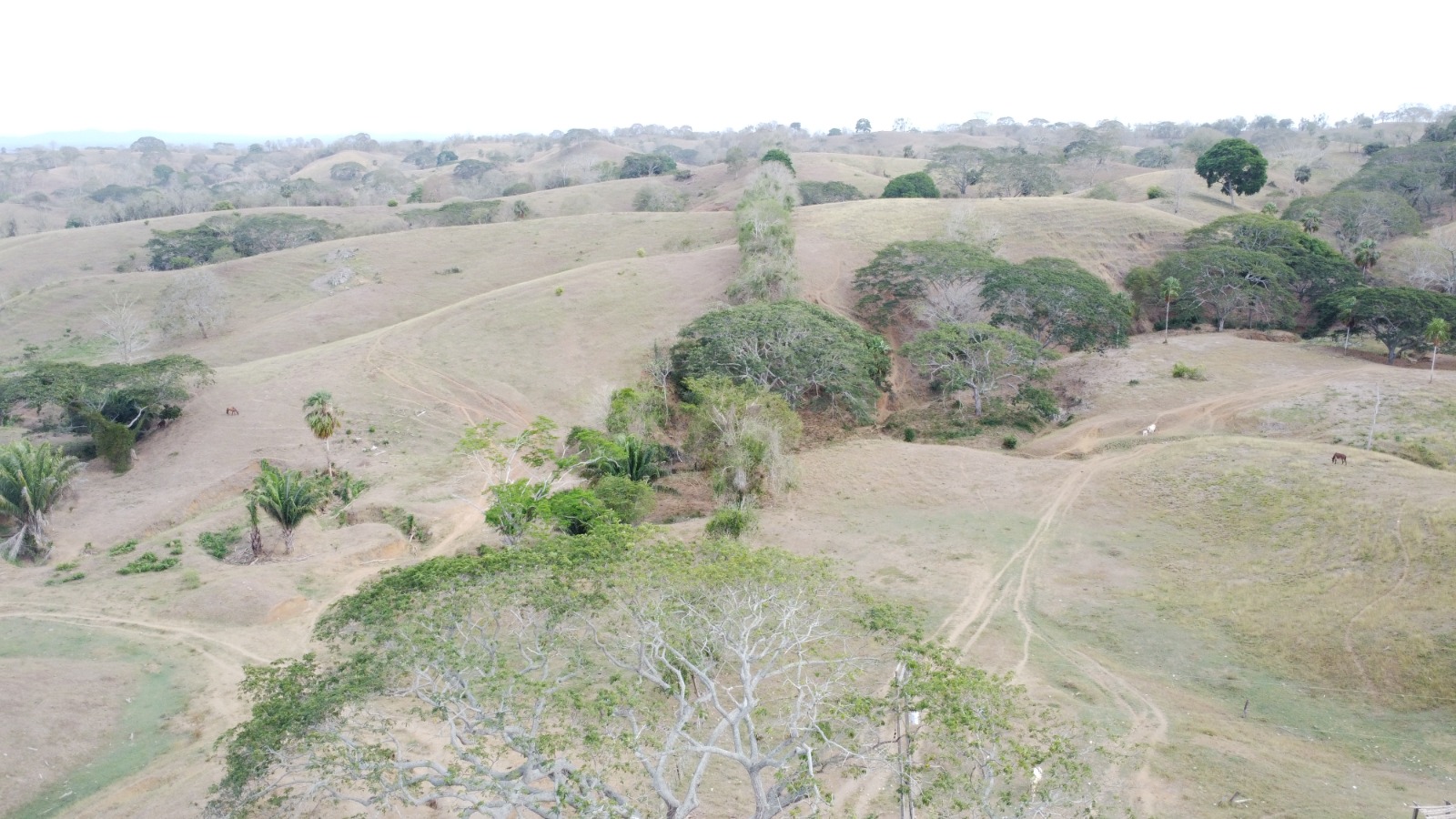 Finca en venta en los Córdobas  cerca de Monteria