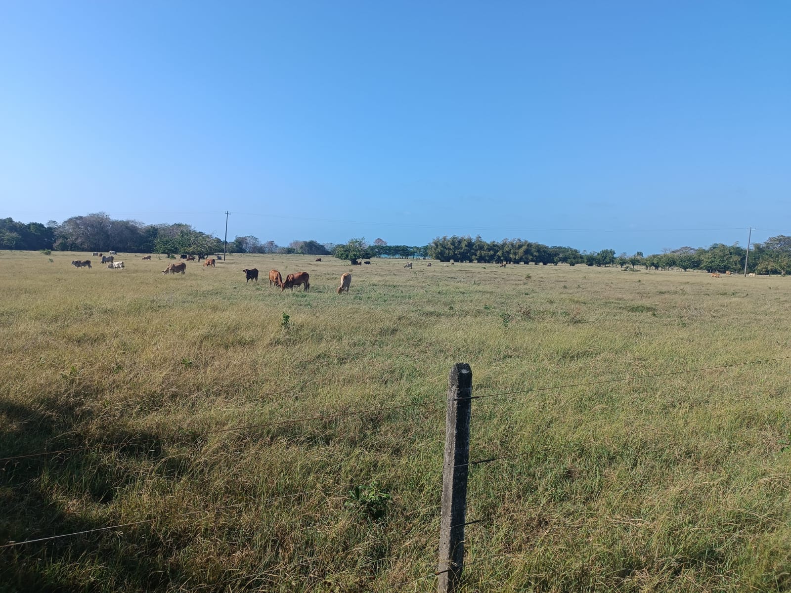 Finca en venta en Puerto Escondido Cordoba