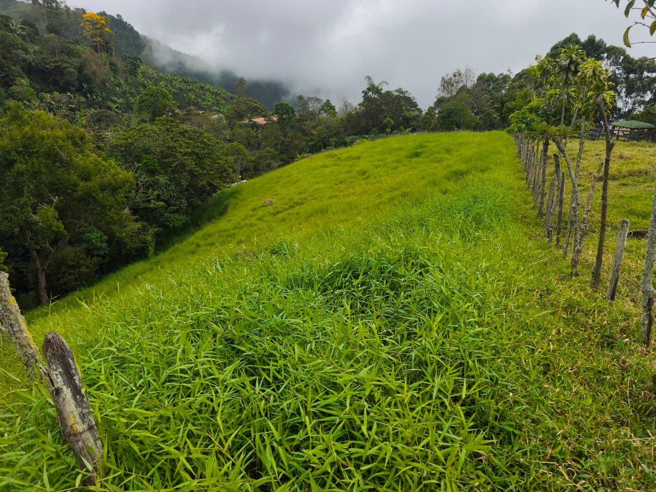 Finca en venta Titiribí Antioquia sector jardín
