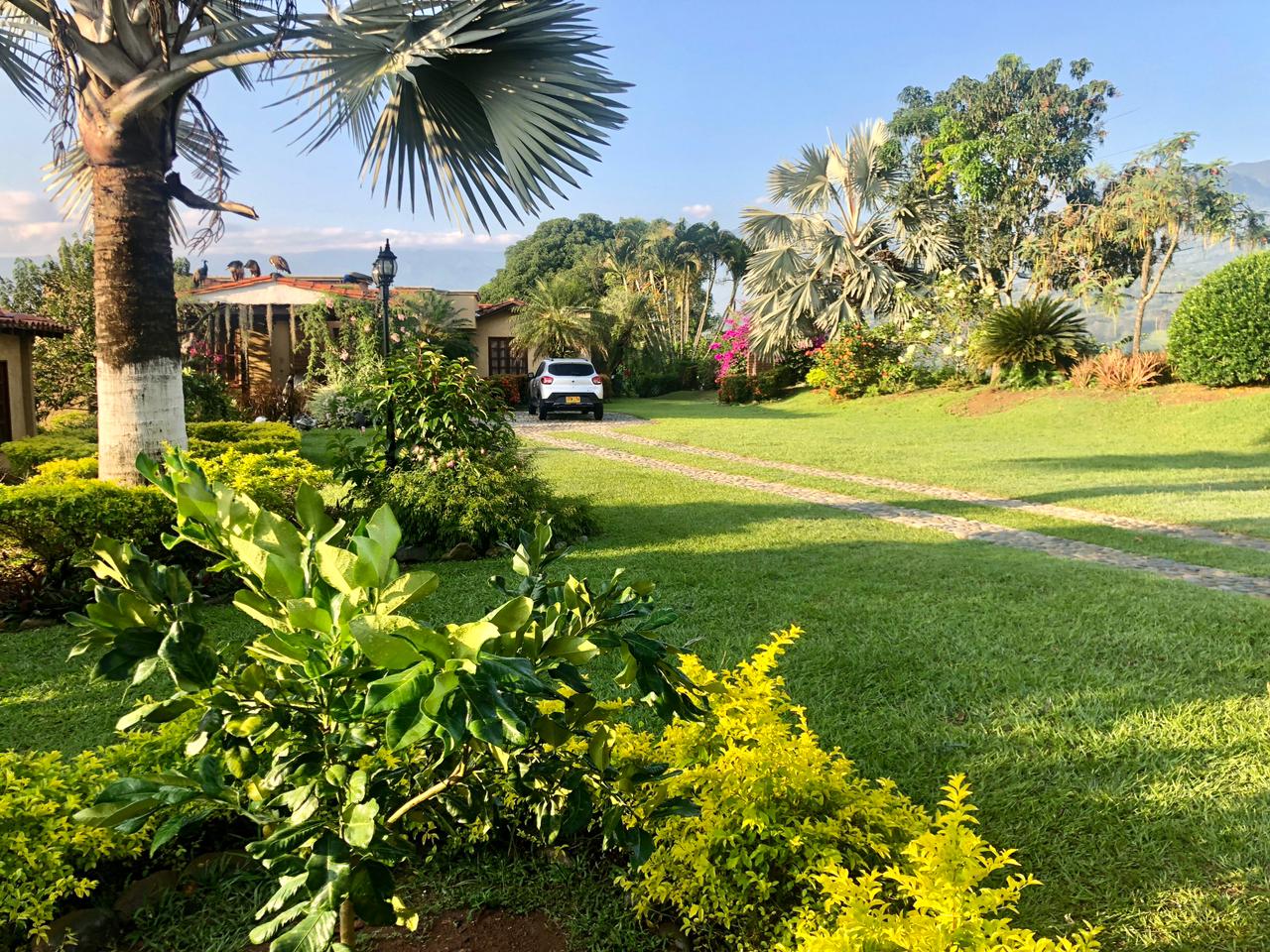 SE VENDE FINCA EN LA PINTADA  (ANTIOQUIA)