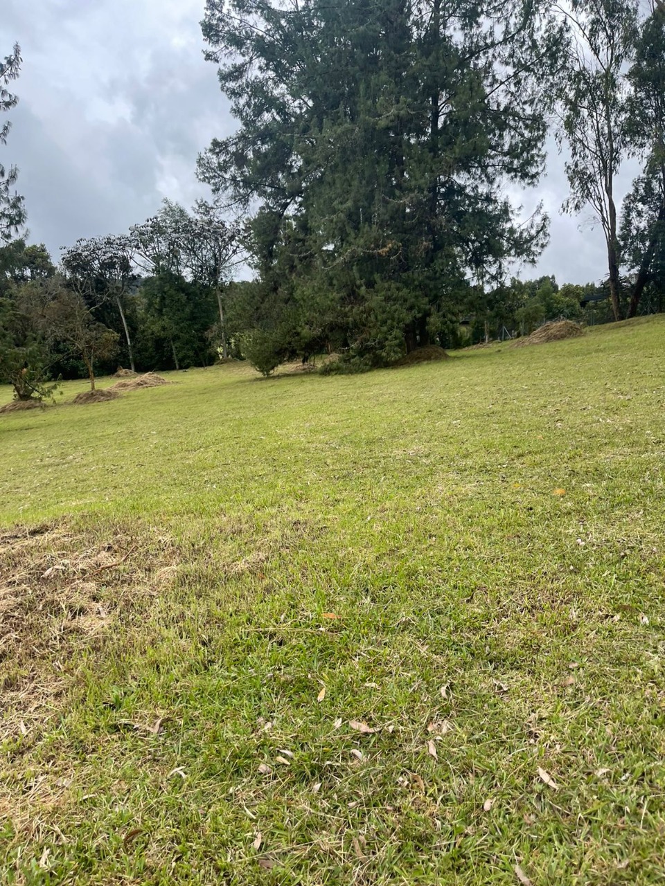 Lote en venta avenida las palmas K2 Envigado Medellín Antioquia