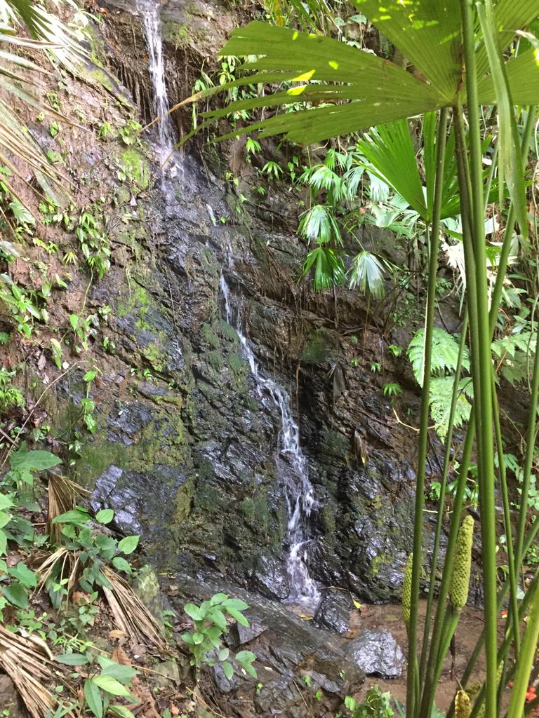 Vencambio Finca con dos casas, vereda de Sopetrán