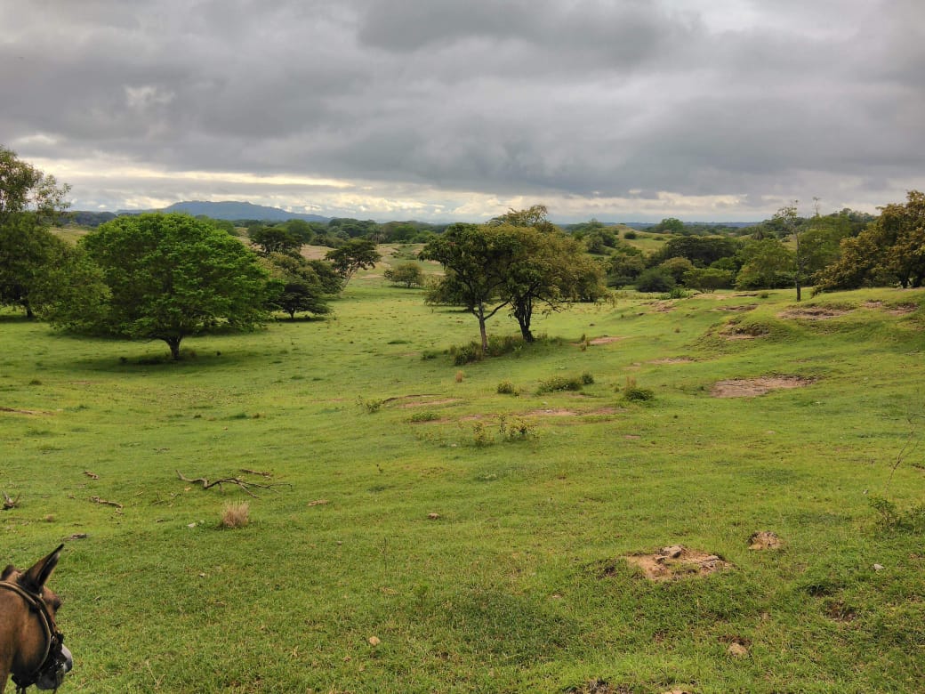 Finca en venta en Beltran  Cundinamarca