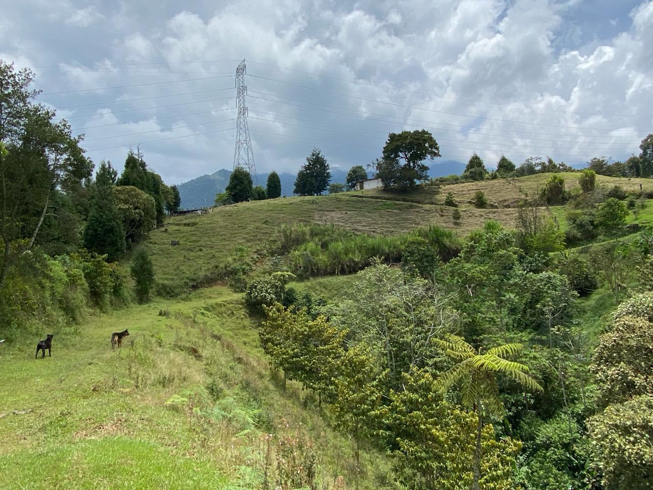 Lote en venta en Caldas