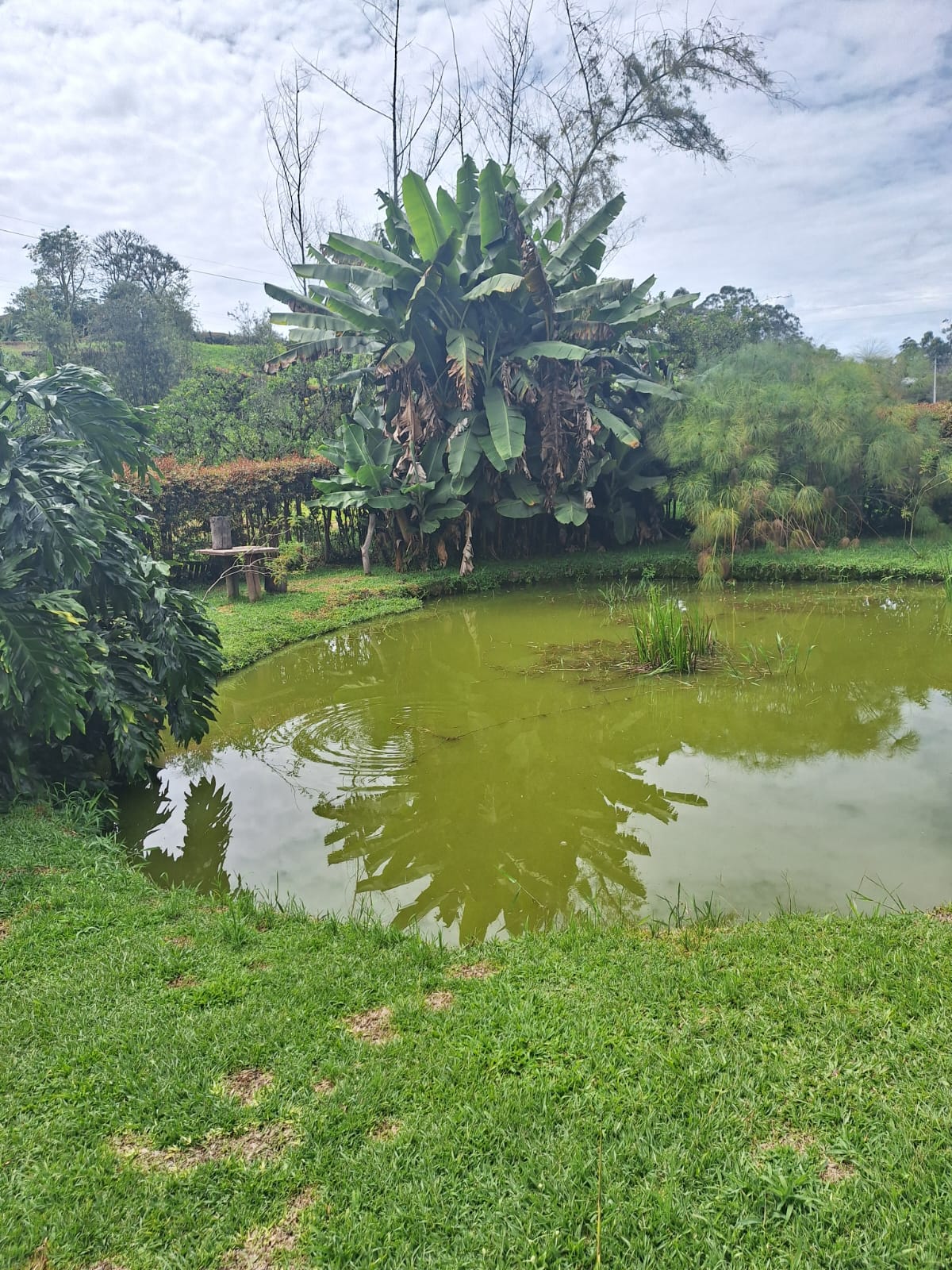 Venta de finca en El Carmen de Viboral Quirama