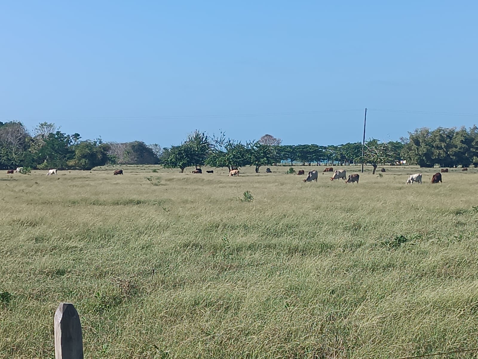 Finca en venta en Puerto Escondido Cordoba