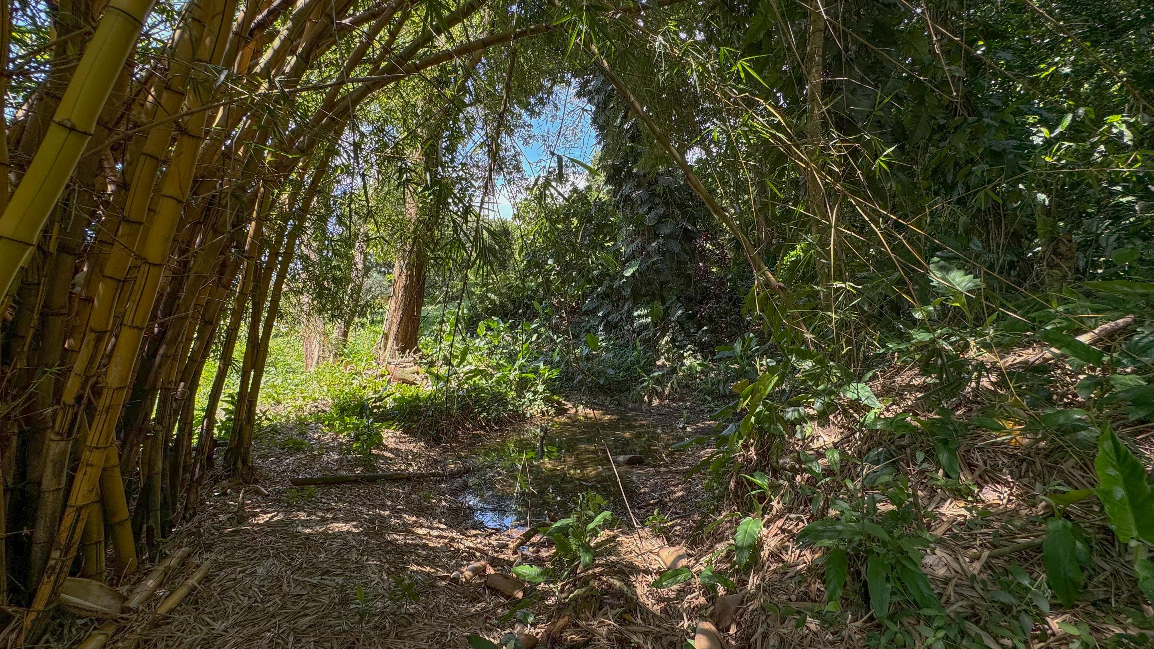 Venta de Finca en Barbosa  Antioquia