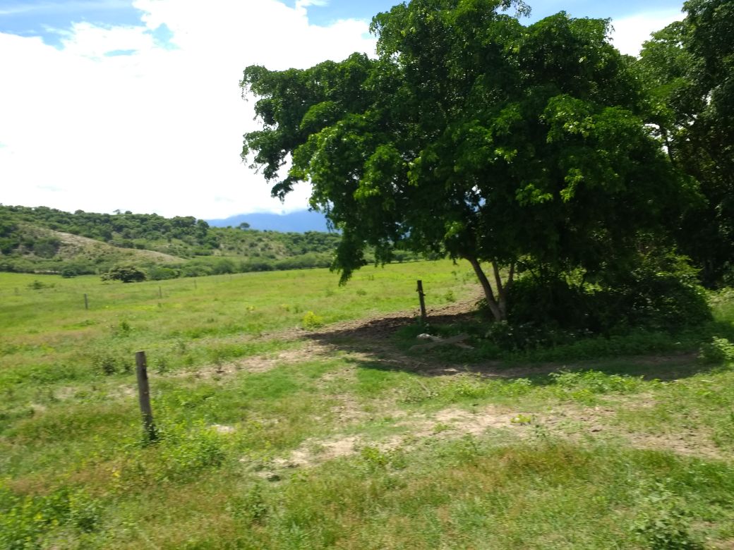 Finca en venta en el Tolima