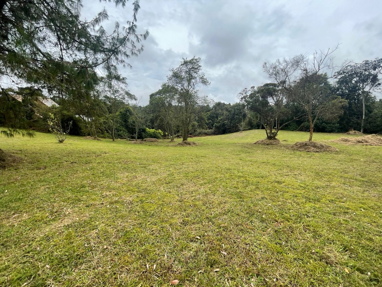 Lote en venta avenida las palmas K2 Envigado Medellín Antioquia