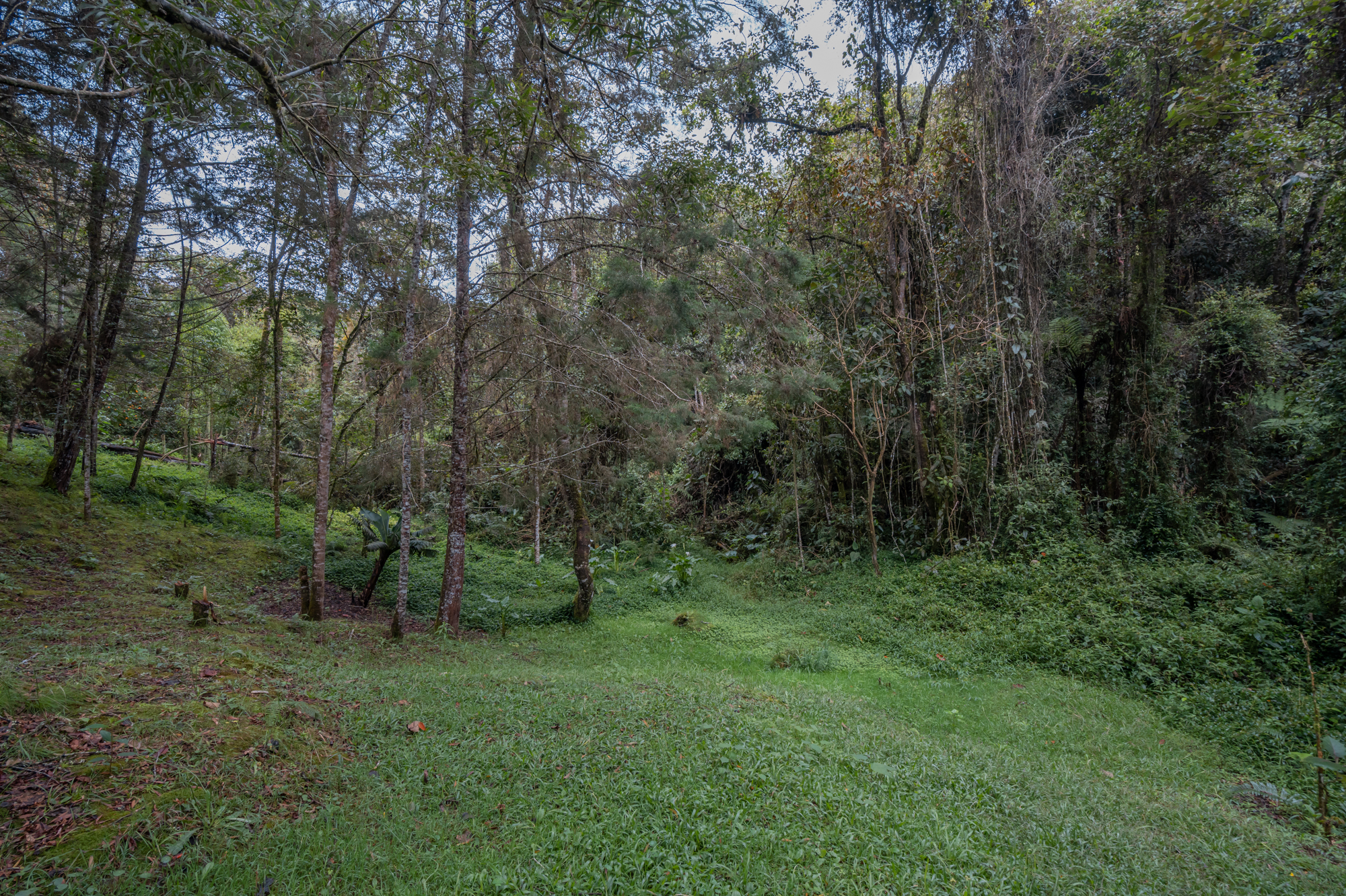 Hermosa Casa Finca en Venta  el Retiro Antioquia