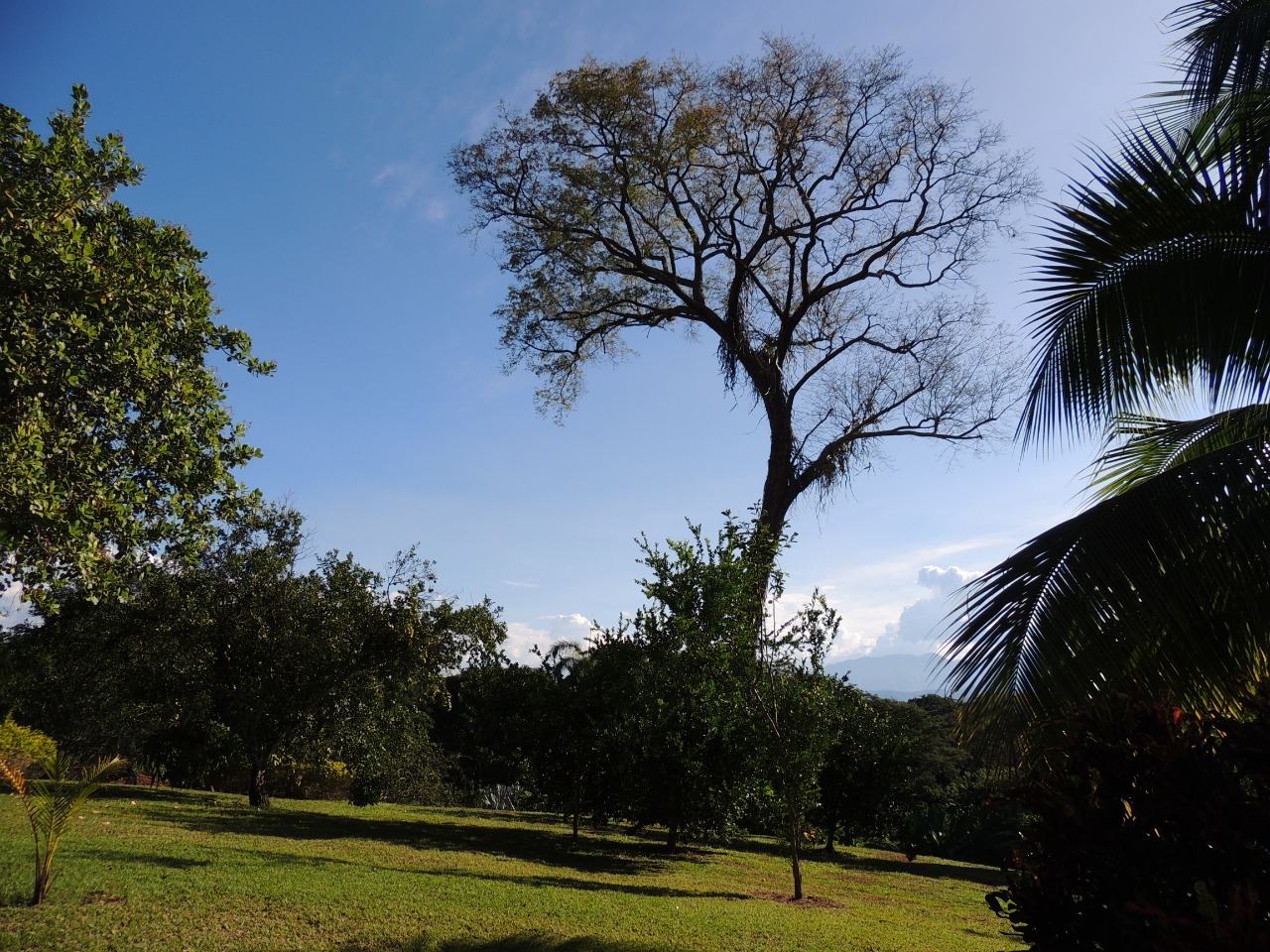 Finca en Venta en Sopetran Antioquia