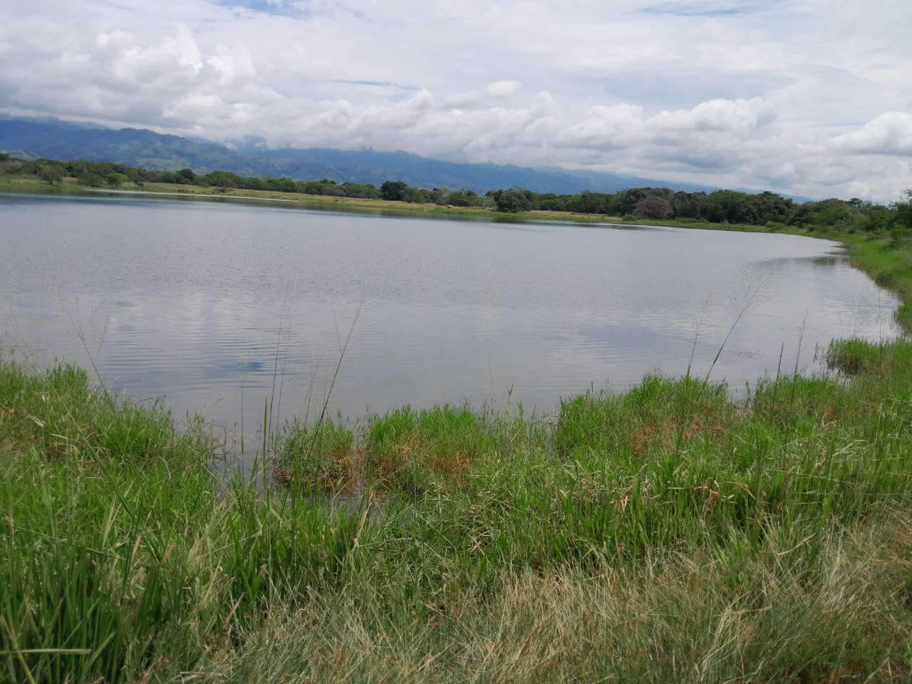 Finca en venta en Alvarado Tolima
