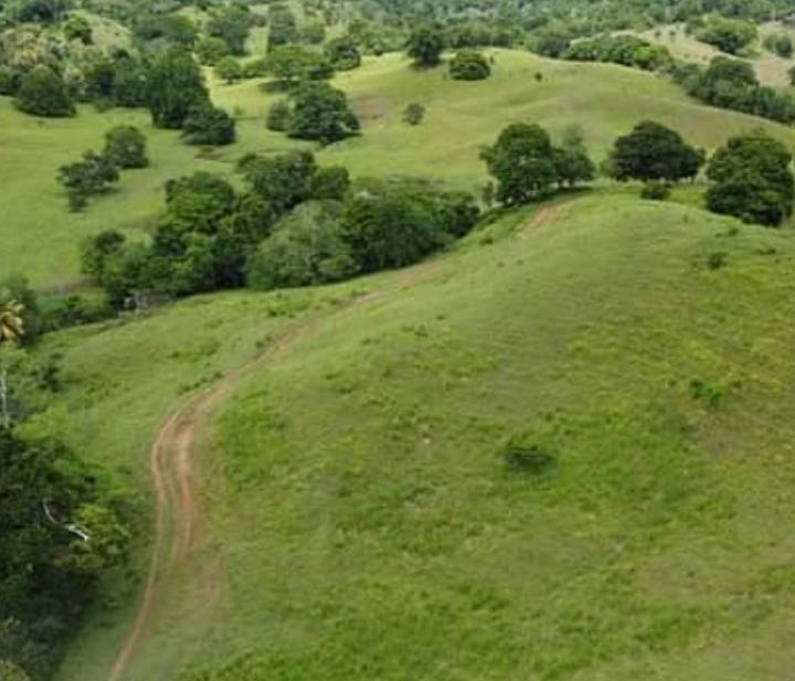 Finca en venta en Córdoba cerca de Montería