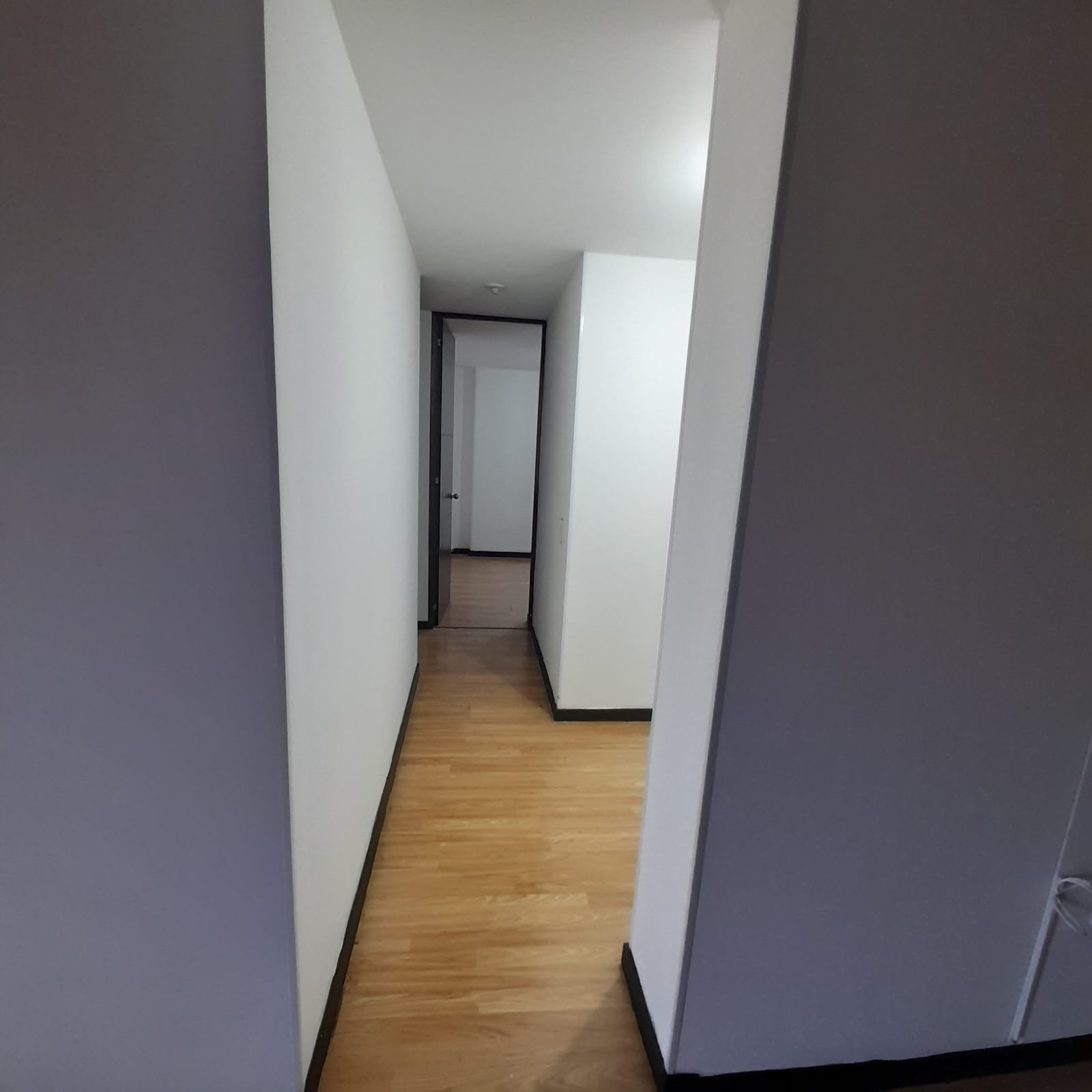 Apartamento en Arriendo  en Calasanz Medellín Antioquia