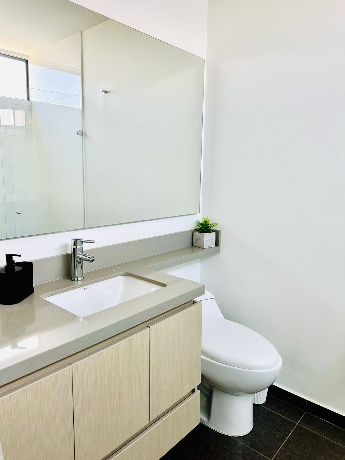 Venta de apartamento en Palmas sector Padre Marianito