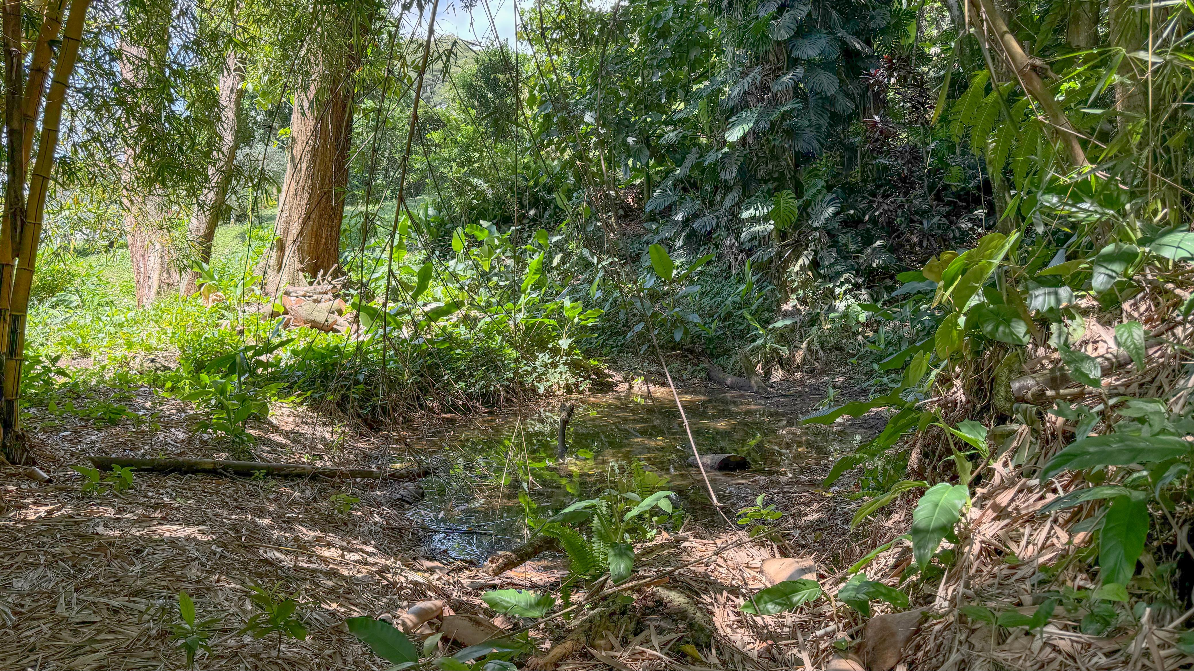 Venta de Finca en Barbosa  Antioquia