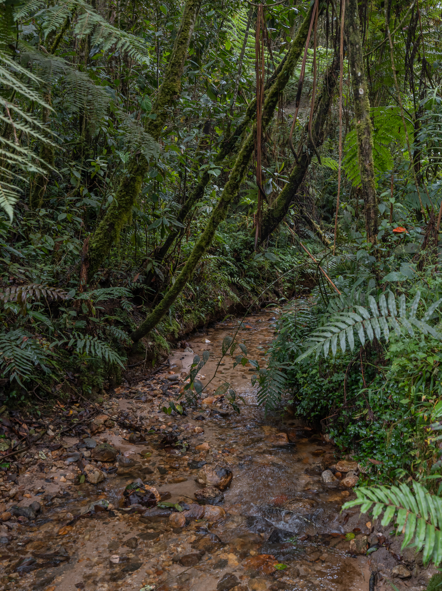 Hermosa Casa Finca en Venta  el Retiro Antioquia