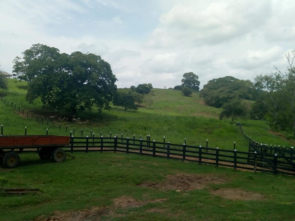 Finca en venta en  Montería vía Arboletes