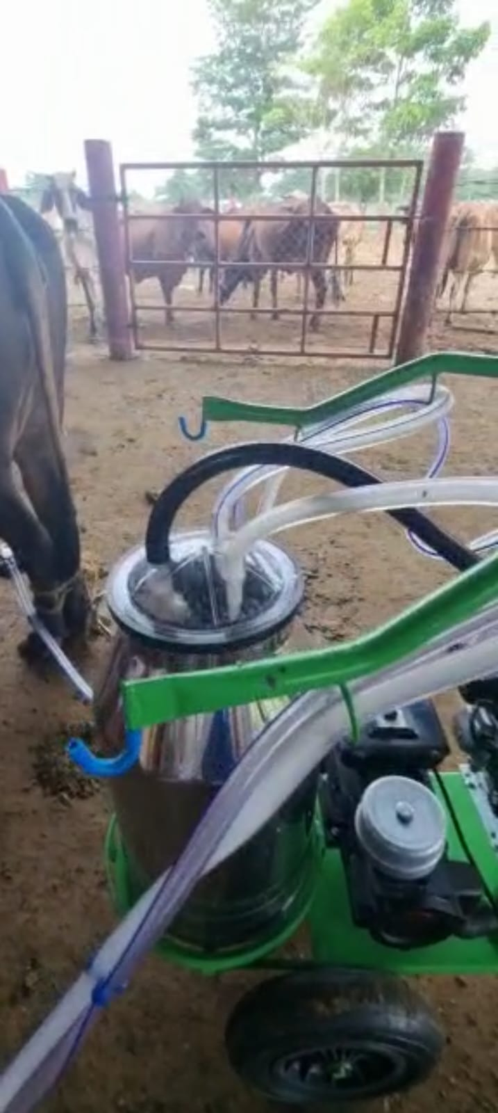 Venta de Finca Tecnificada para la Ganadería y Agricultura Córdoba