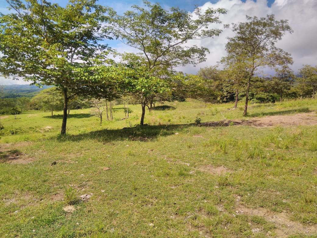 Finca en venta en Beltran  Cundinamarca