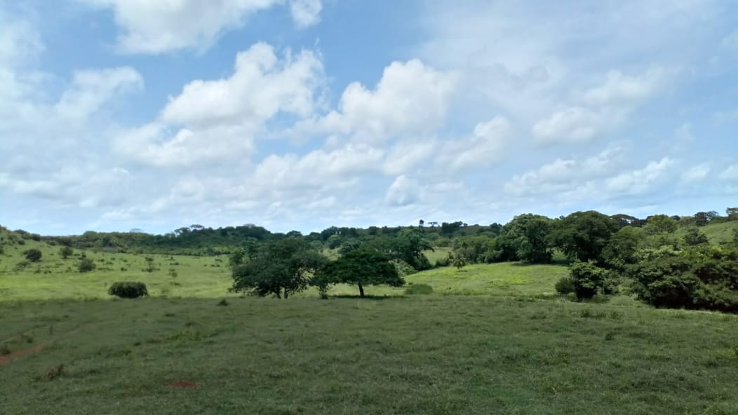 Finca en venta en Córdoba cerca de Montería