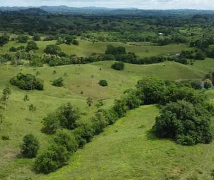 Finca en venta en Córdoba cerca de Montería