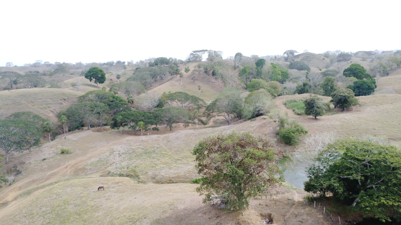 Finca en venta en los Córdobas  cerca de Monteria