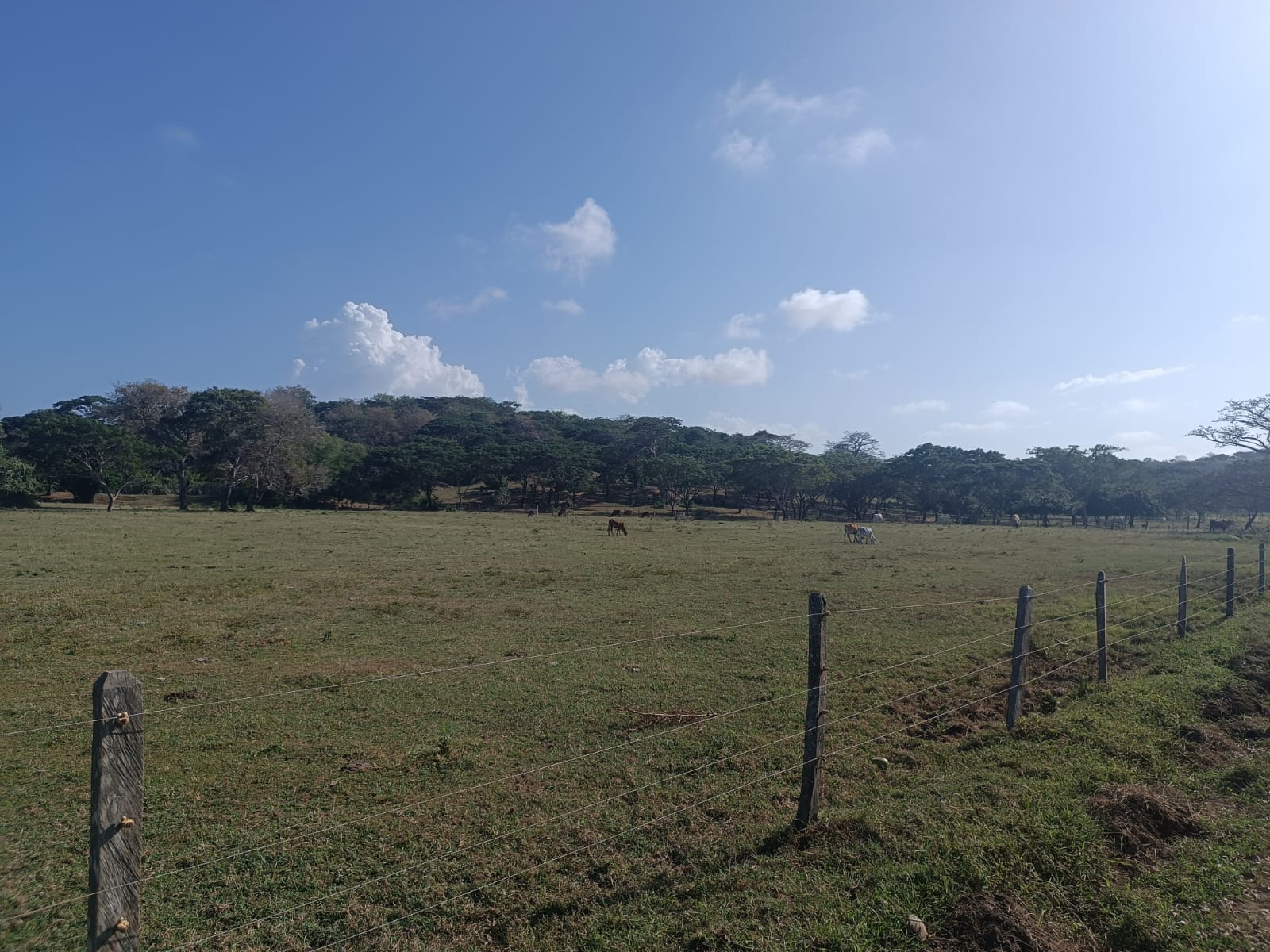 Finca en venta en Puerto Escondido Cordoba