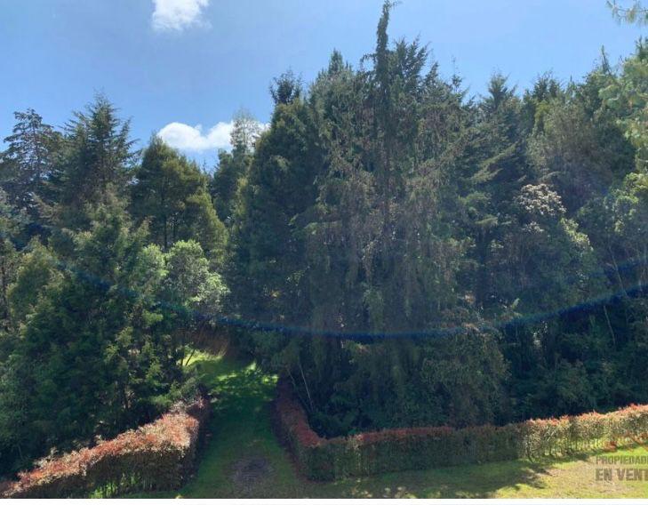 Lote en venta en las Palmas Medellin