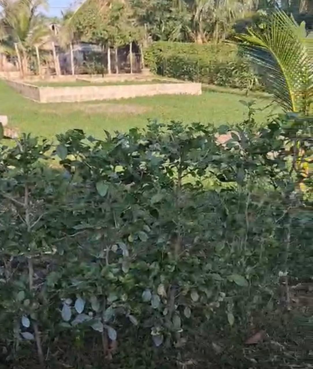 Venta de Lote en San Bernardo del Viento Córdoba