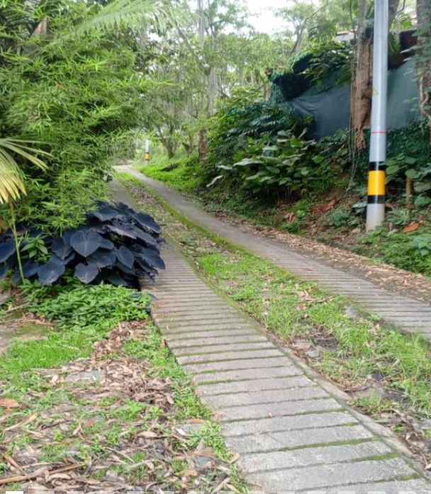 Venta Casa o Lote Estratégico En Los Balsos El Poblado Medellín