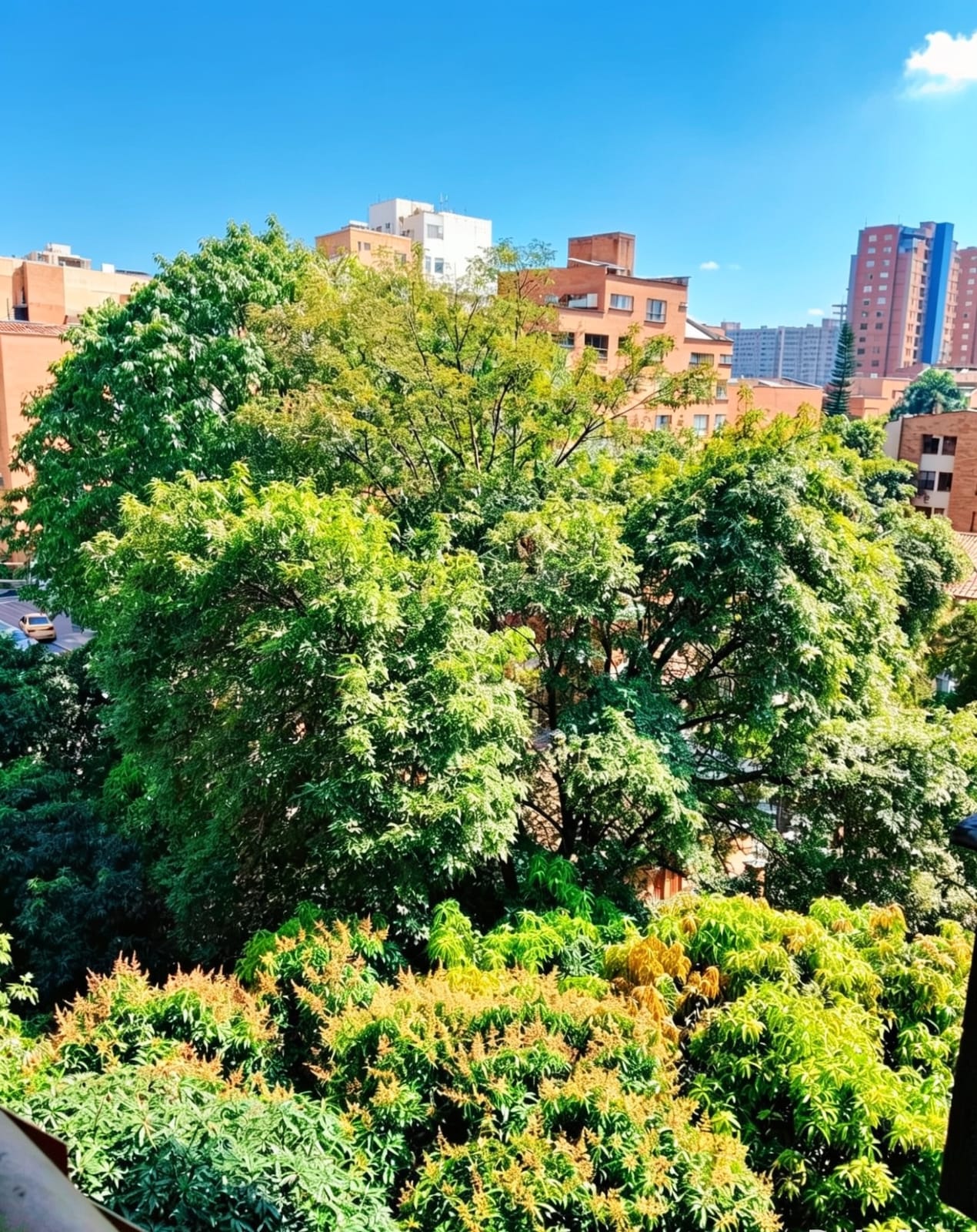 Apartamento en venta en Portal Envigado
