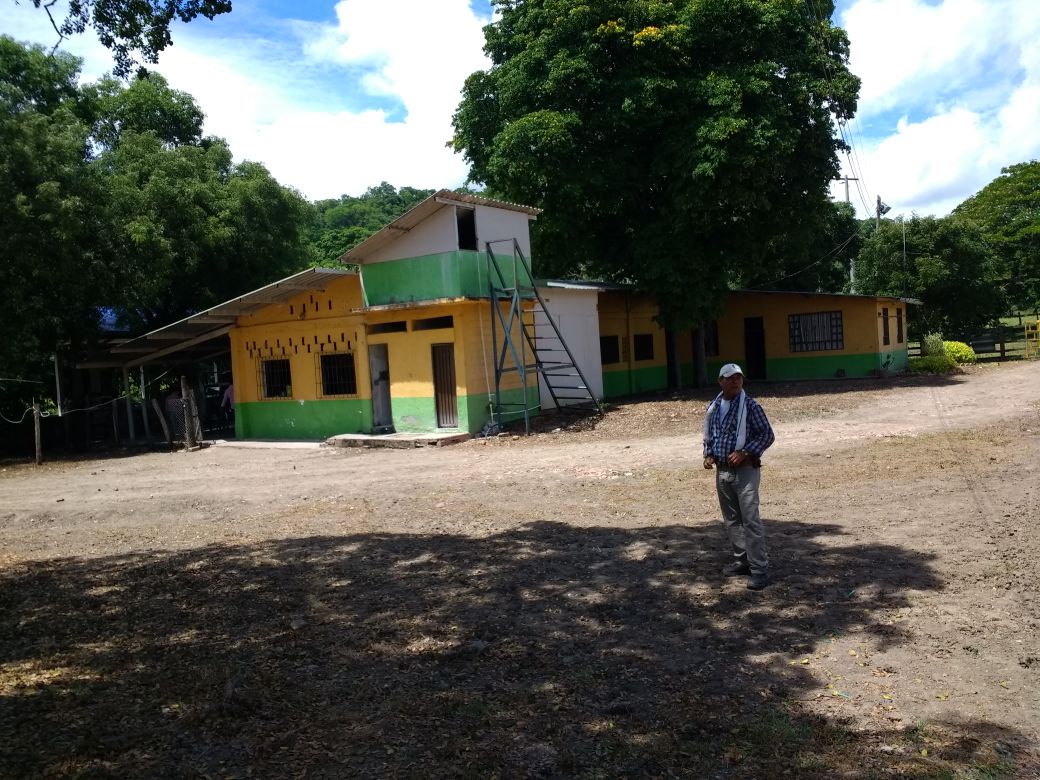 Finca en venta en el Tolima