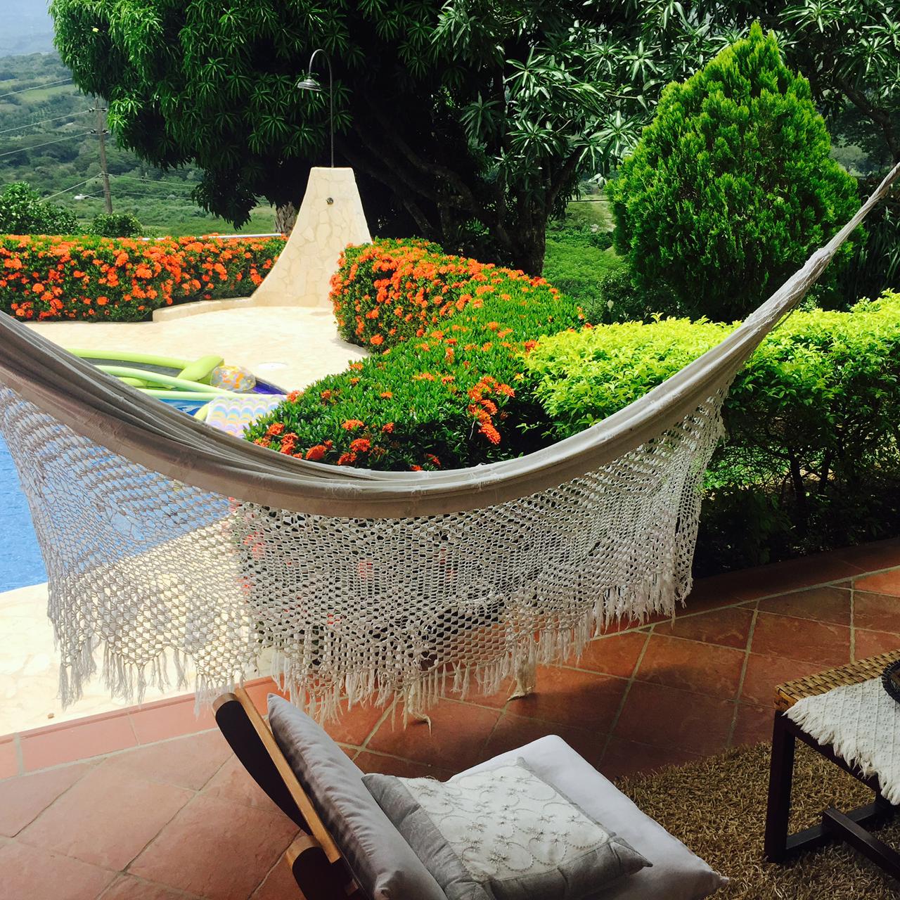 SE VENDE FINCA EN LA PINTADA  (ANTIOQUIA)