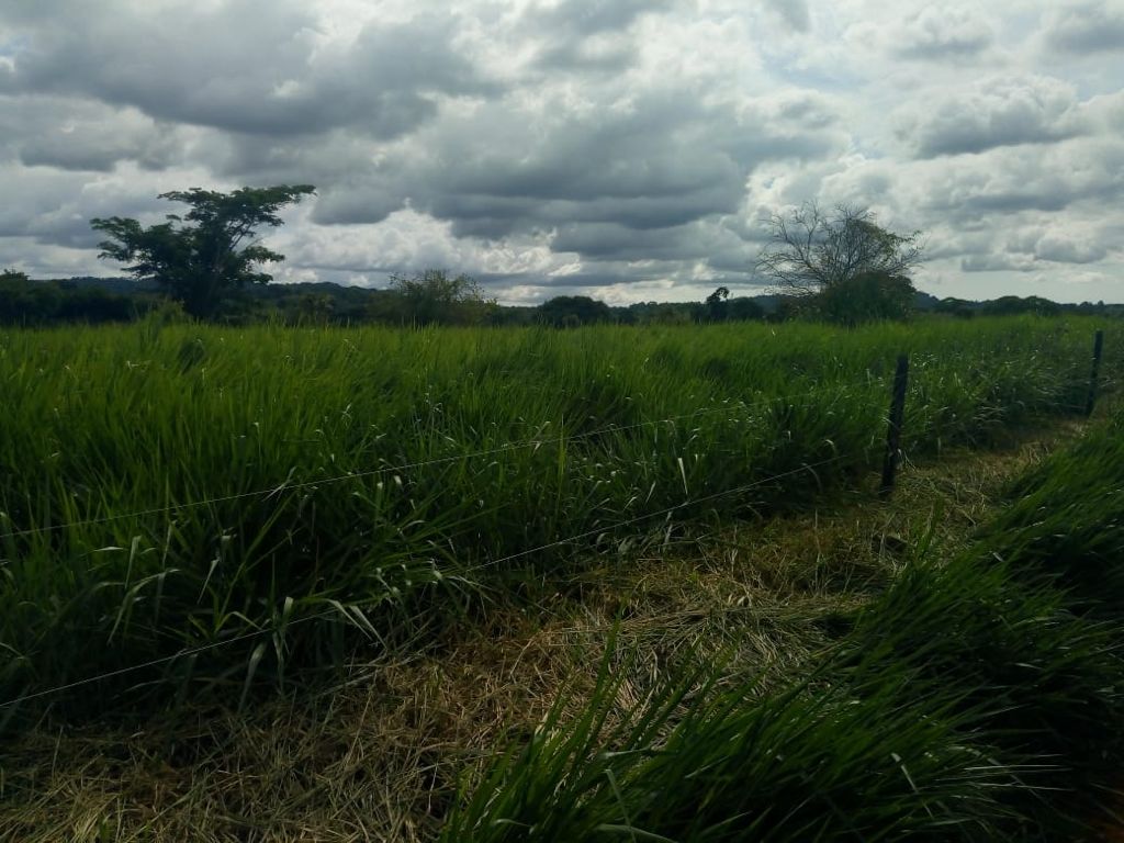 Finca en venta en  Montería vía Arboletes