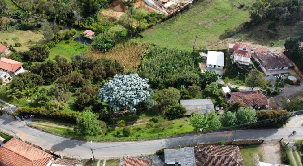 VENTA DE FINCA EN RIONEGRO SECTOR LAS LASJAS